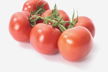 Salkım Domates Koyuncu Seracılık