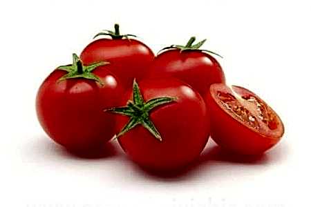 Cherry Domates Koyuncu Seracılık