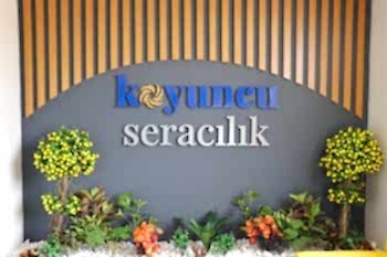  Koyuncu Seracılık